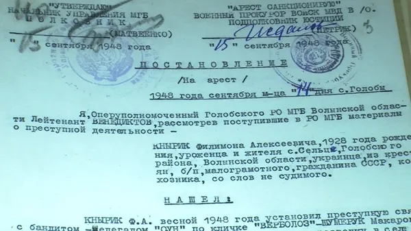 На Волині оприлюднили справи українських націоналістів з фонду КДБ (відео)