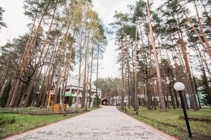 Електромобілі, велодоріжки та плавальні шляхи: перспективи «Проліску»