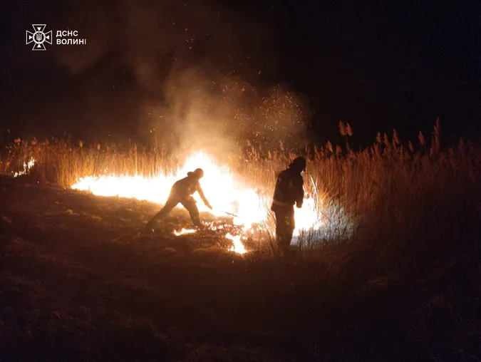 Найтриваліша пожежа на Волині: рятувальники пів доби гасили вогонь на торфовищі (фото)