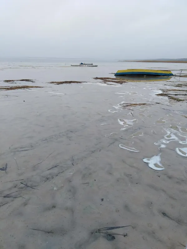 Світязь повертається: показали свіжі фото з волинського озера (фото)
