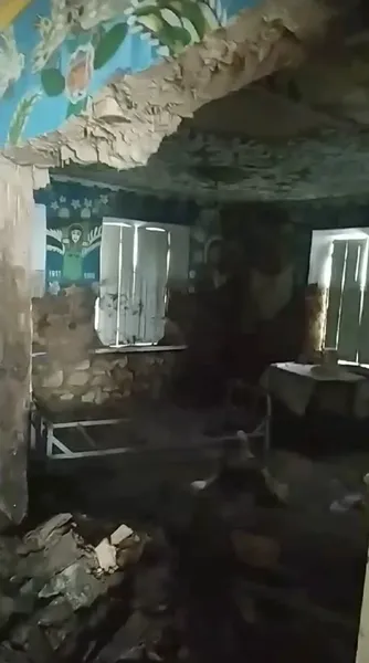 «Це траур!»: у будинку-музеї Поліни Райко в Олешках збереглося близько 30% фресок (фото)