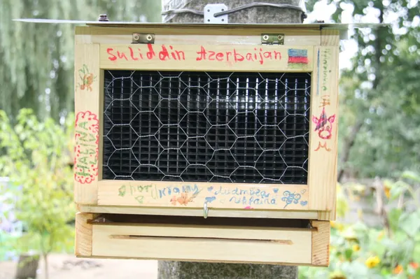 У Луцьку поговорили про диких бджіл та їх роль у довкіллі (фото)