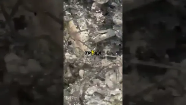 У Харкові під час обстрілу «Градами» в авто загинула ціла родина (відео 18+)