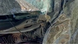 У Луцьку авто на швидкості влетіло у дерево: водій – в лікарні (відео)