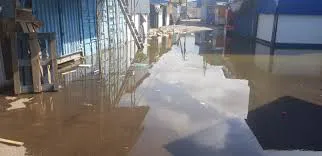 На затопленому ринку в Чернівцях чоловік спіймав рибу руками (відео)