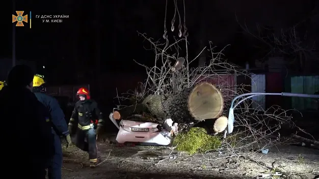 У Києві через сильний вітер дерево впало на авто – загинула людина (відео)
