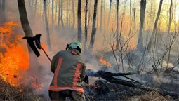 Волинь охопила хвиля пожеж: за добу – 28 загорянь (фото)