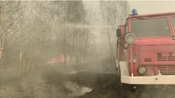 Масштабну пожежу під Шацьком здолали лише наступного дня (фото)