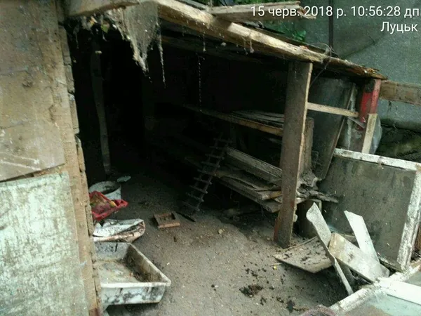 У Луцьку муніципали знесли сараї і паркани (фото) 