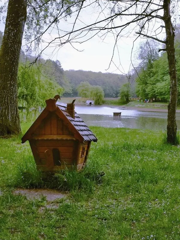 Показали красу літнього Воротнева (фото)