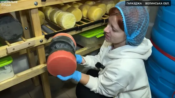 «Бандерівський сир» із чорнилом каракатиці: як родина з Луцька варить десятки видів крафтового сиру (відео)
