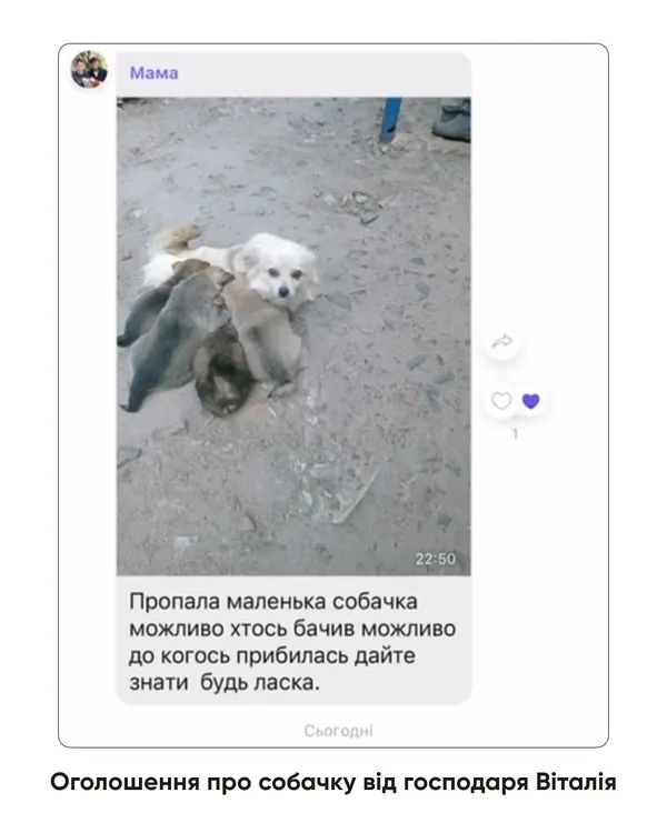 На Волині жінка задушила собаку військового (фото)