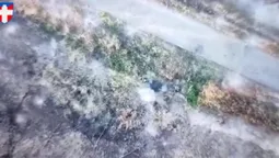 «Волинські Соколи» відправили до Кобзона жменьку російських покидьків