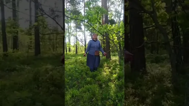 Як на Поліссі співають під час збору чорниць (відео)