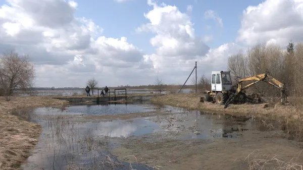 На підтоплених угіддях у Любешівській громаді оселилися лебеді і чаплі (фото)