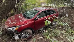 Біля Горохова 14-річна водійка з'їхала у кювет – троє людей у лікарні (фото)