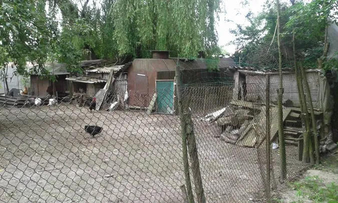 У луцькому парку демонтували... курники (фото)