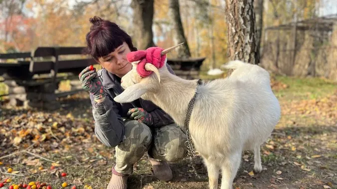 Як Луцький зоопарк готується до зими (фото, відео)