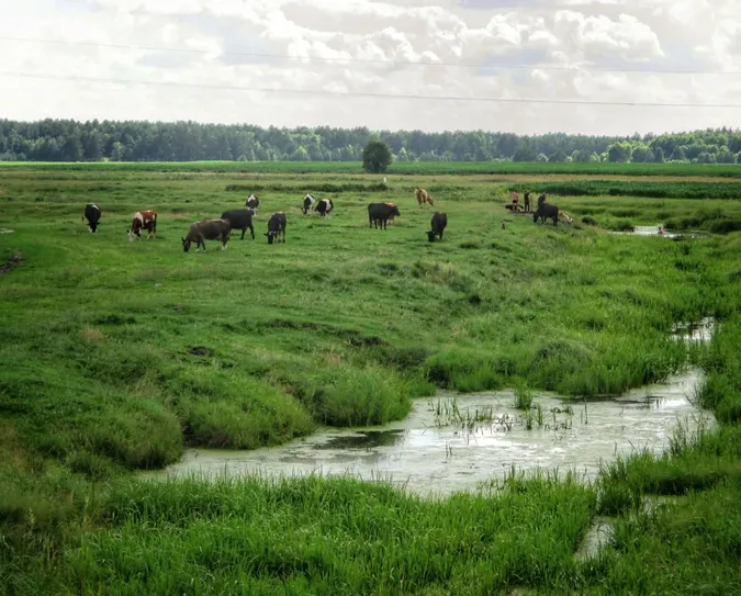 На Волині село повністю пішло під воду і відродилося на пагорбі