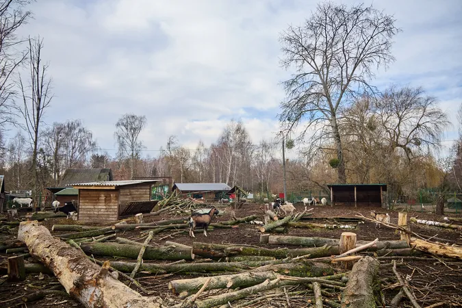Милі і пухнасті: луцький зоопарк потішив світлинами підопічних (фото)