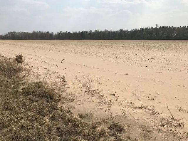 Пилові бурі та пожежі: звідки ця напасть взялася в Україні
