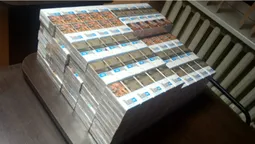 У бусі та в лісі: луцькі прикордонники знайшли майже 2400 пачок сигарет (фото)