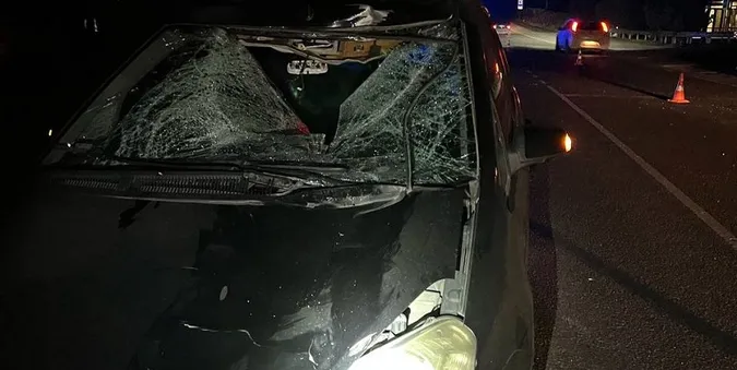 Під Луцьком вночі Ford збив на смерть 72-річного велосипедиста (фото)