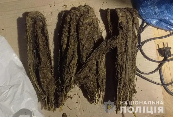 Бурштин і коноплі: поліція влаштувала обшуки в селах Луцького району (фото)