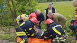У Локачах легковик злетів у кювет і врізався у дерево (фото)