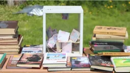 Купляй книгу – допомагай ЗСУ: на Волині на благодійному ярмарку зібрали понад 26 тисяч гривень (фото)