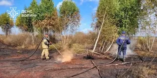 На Волині рятувальники другу добу гасять пожежу торфу (фото)