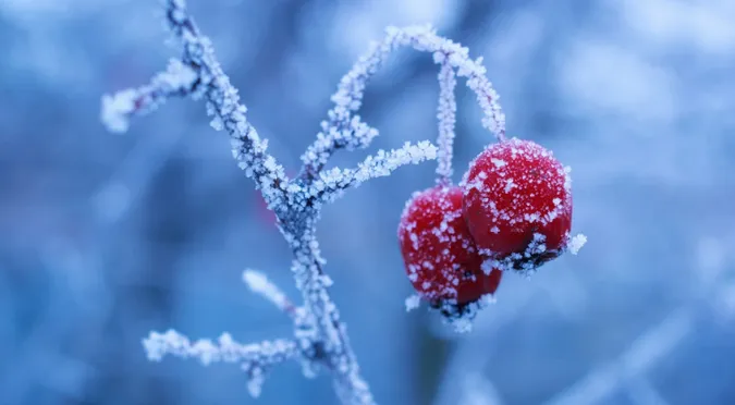 У вихідні – нічні морози до -12°C: коли чекати потепління на Волині