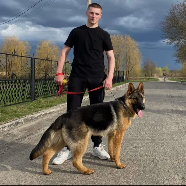 На його могилі – світлини з  улюбленцями: пам'ять про воїна з Волині бережуть врятовані ним тварини