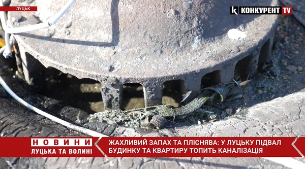Жахливий запах та пліснява: у Луцьку дощова вода топить квартири та підвал багатоповерхівки (відео)