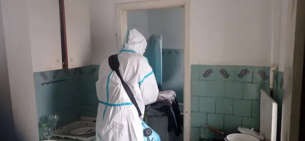 Забігла на подвір'я: у Луцькому районі ліквідували скажену лисицю