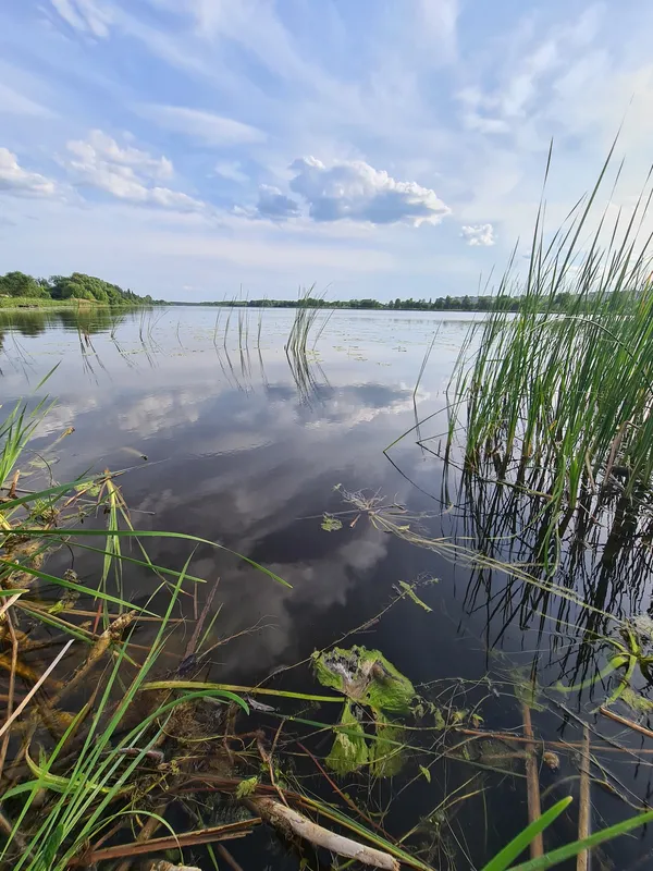 Неймовірна краса волинської річки (фото)