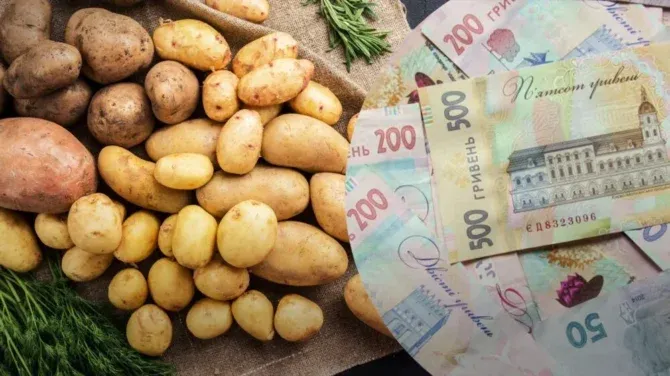 Картопля взимку може різко подорожчати: експерти сказали, коли краще зробити запаси