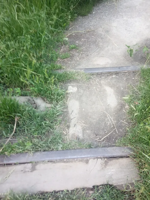 У Луцьку дитяча залізниця заростає кропивою (фото)