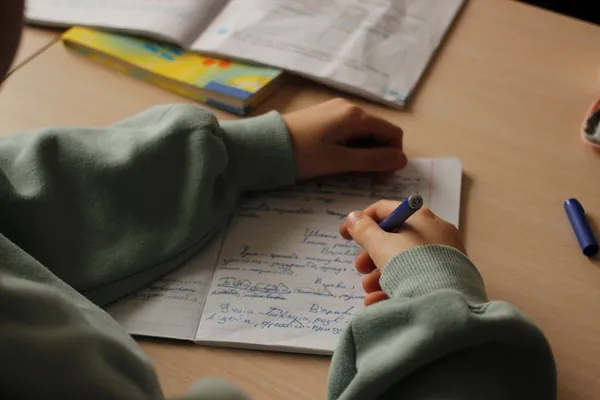 Чому лучани обирають для своїх дітей приватну освіту: чотири головні переваги (фото)