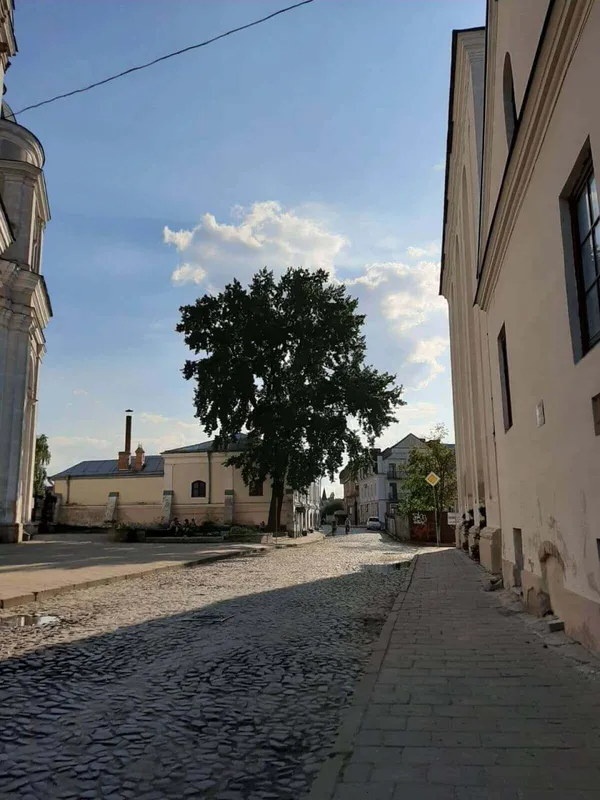 Лесин ясен позбавлять статусу пам’ятки природи. Натомість буде пам'ятний... дуб (фото)