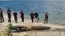 «Ракета», яку виявили у водосховищі на Буковині, виявилась підвісним баком літака (фото)