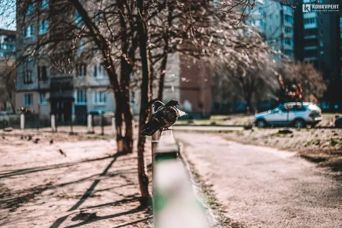 Тепло: погода в Луцьку на суботу, 11 квітня