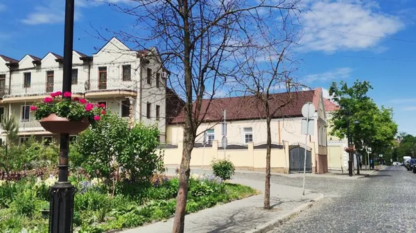 Луцькі дерева страждають від грибка, молі та кліщів (фото)