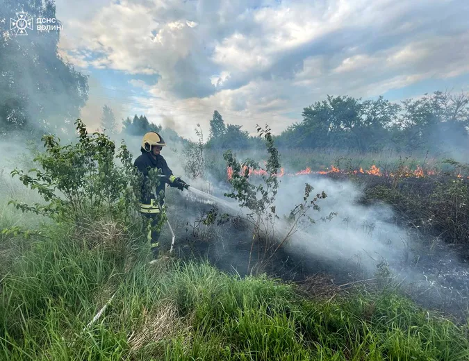 Волинь палає: горять чагарники та сухостій (фото)