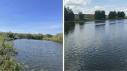 На Волині виставили на аукціон два ставки для оренди: можна займатися рибництвом