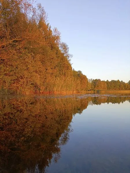 Глибший тільки Світязь: показали осінні краєвиди озера, де є багато риби (фото)
