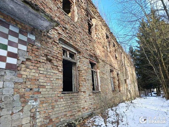 У лісі біля Луцька нарізали ділянок під новий мікрорайон: що там коїться (відео)
