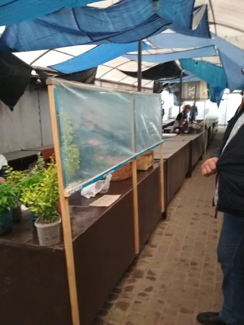 Як і де вже працюють ринки на Волині (ФОТО)