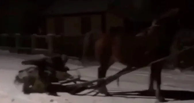 Сільський екстрим: на Волині вночі влаштували «кінський» дрифт (відео)