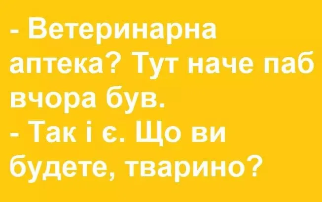 На побачення – в аптеку, магазин, маршрутку: жарти про карантин вихідного дня (фото)